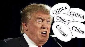 吃瓜蒙主间谍身份解析,间谍身份背后的真相与谜团